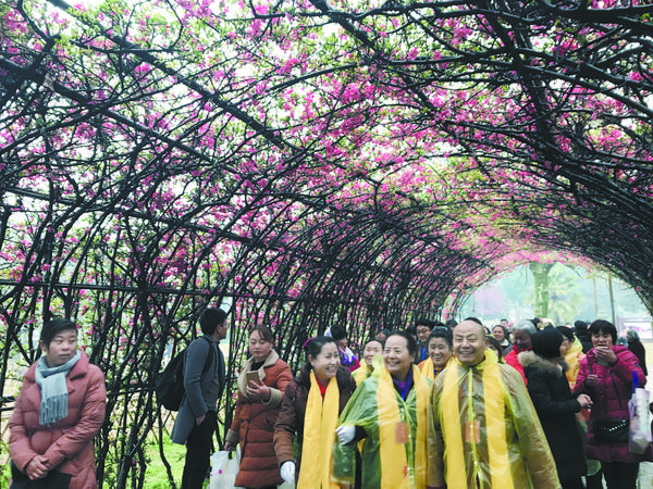 太昊陵園林惹人醉