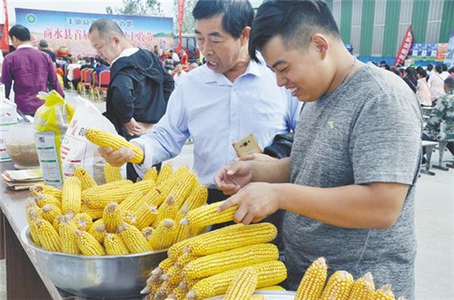 周口市多地喜慶首個中國農民豐收節