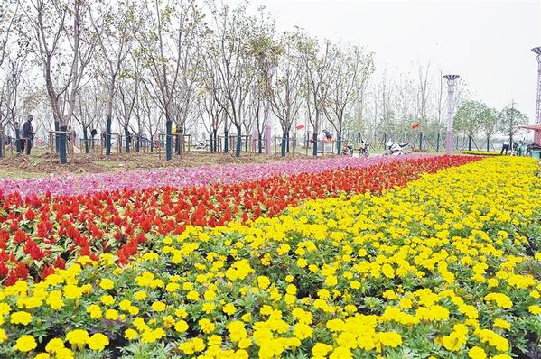 商水森林公園一期即將竣工