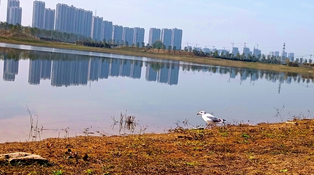 打造水生態城市，讓周口更宜居