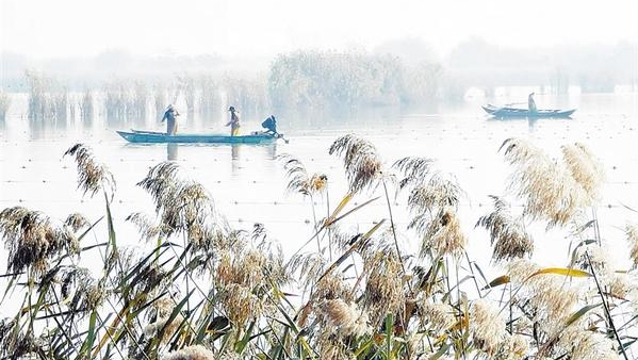 龍湖冬景入畫(huà)中