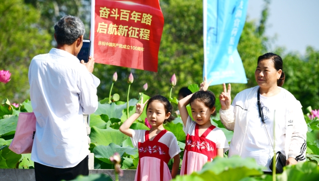 [淮陽區]龍湖賞荷月啟動 荷花妖嬈待君賞