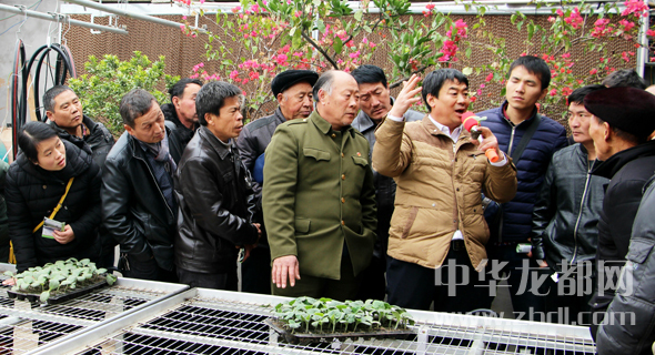 周口扶溝：農藝師在大棚里給農民傳授蔬菜栽培技術